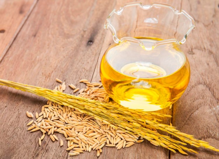 India Has 1.2 MT Untapped Rice Bran Oil Potential, SEA Calls for Policy Push