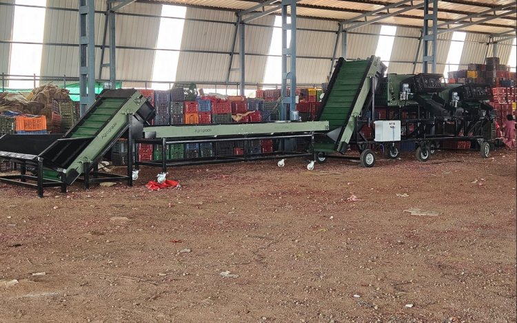 Automated Onion Grading System Cuts Manual Labour by Nearly 80% at Pimpalgaon Market