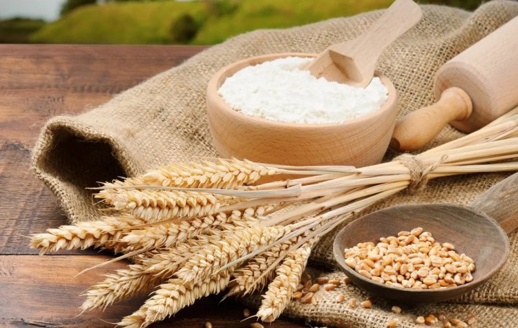 Wheat and Wheat Flour Exports Freed with Immediate Effect; Government Lifts Export Curbs Summary