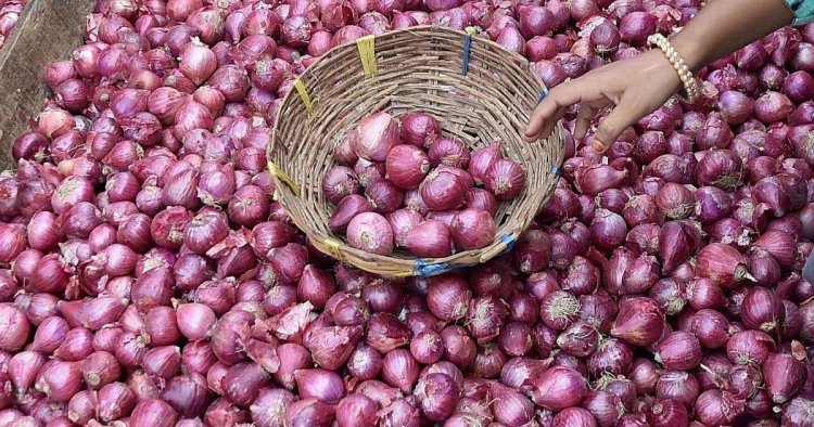 Government Starts Buffer Onion Stock Release, First Kanda Express Heads to Delhi