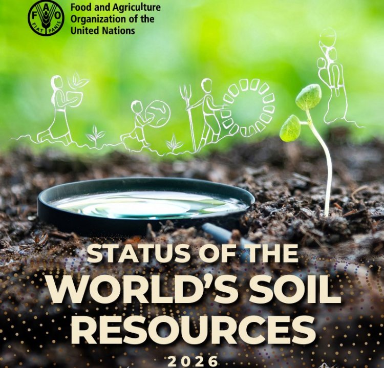 FAO Report Warns Global Soil Management Remains Unsustainable, Erosion and Other Threats Worsening