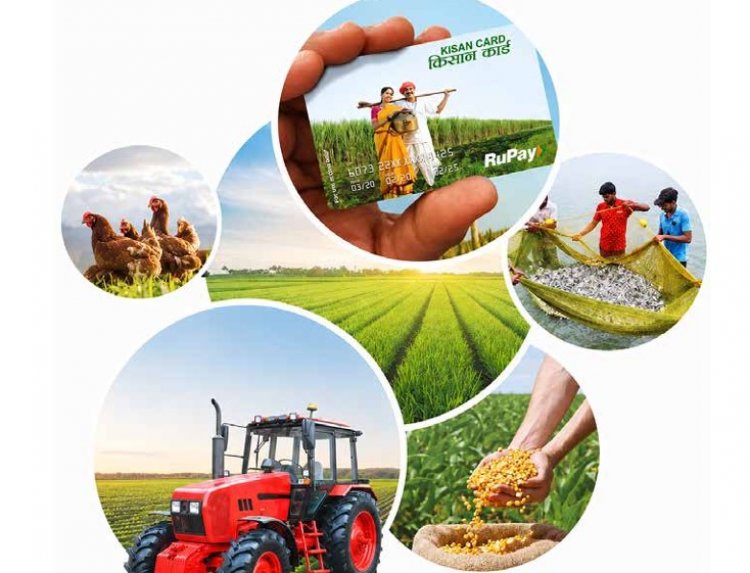 Indian Agricultural Credit: Some Successes and Misses