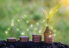 The Growing Role of Non-Bank Credit in India's Agrifood Economy