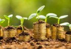 FinTech: The New Ecosystem of Rural Finance