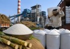 Sugar Mills Directed to Cap Sale Price at Rs 5,000 per Quintal; Bijnor DCO Issues Letter to Mills