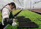 China Unveils 2030 Financing Push to Strengthen Food Security and Modernise Rural Economy