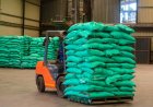 Global Development Banks Push Joint Action to Build Resilient Fertilizer Supply Chains