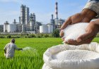 Government May Approve 8 New Urea Plants, Rs 80,000 Crore Investment Likely
