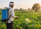 CropLife India Seeks Five-Year Regulatory Data Protection to Expand Farmers’ Crop Protection Choices