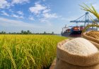 India’s Lower Kharif Crop to Drive First Global Rice Production Decline in Over a Decade: IGC