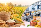 UP to Showcase Agricultural Ecosystem, FPOs and Agri Technologies at International Trade Show 2026