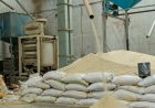 Paddy Procurement Begins in a Week, but Haryana Rice Millers Hold Back CMR Registration