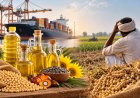 Cheap Edible Oil Imports: A Setback for Farmers Ahead of Kharif Harvest and Rabi Sowing