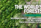 Urgent Need for Forest Restoration to Safeguard Global Agrifood Systems: FAO Report