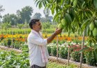 Haryana Offers Up to Rs. 1.4 Lakh per Acre Subsidy for New Fruit Orchards