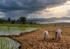 India’s 2026 Monsoon Ends With 13% Rainfall Deficit, Weakest in Over a Decade