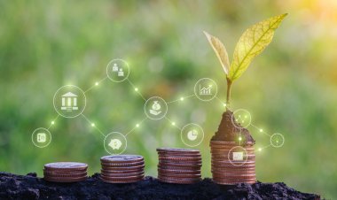 The Growing Role of Non-Bank Credit in India's Agrifood Economy