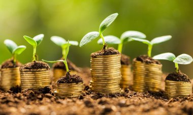 FinTech: The New Ecosystem of Rural Finance