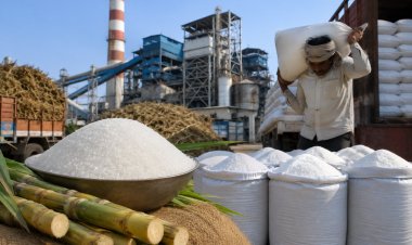 Sugar Mills Directed to Cap Sale Price at Rs 5,000 per Quintal; Bijnor DCO Issues Letter to Mills