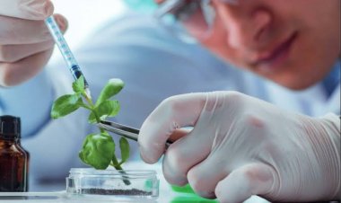 BIO-NIVESH Launched to Connect Biotech Innovation with Investment, Support India’s $300 Billion Bioeconomy Goal