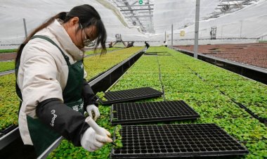 China Unveils 2030 Financing Push to Strengthen Food Security and Modernise Rural Economy