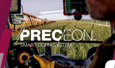 Bayer Advances Seed and Crop Protection Pipeline, Targets 10 Blockbusters Over Next Decade