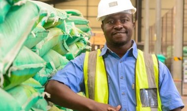 African Development Bank launches $5.1 billion plan to tackle energy and fertiliser crisis in Africa