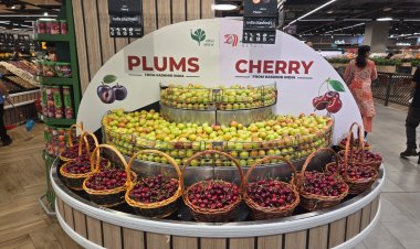 From Orchards to Overseas: APEDA Opens Global Markets for Indian Farmers