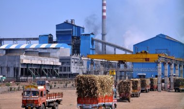 Maharashtra Cabinet Clears Rs 750 Crore Soft Loans for Cooperative Sugar Mills