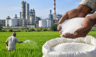 Government May Approve 8 New Urea Plants, Rs 80,000 Crore Investment Likely