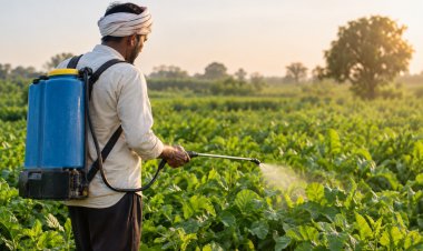 CropLife India Seeks Five-Year Regulatory Data Protection to Expand Farmers’ Crop Protection Choices