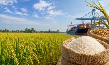 India’s Lower Kharif Crop to Drive First Global Rice Production Decline in Over a Decade: IGC