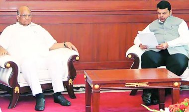 Maharashtra farmers seek immediate drought declaration, Rs 50,000/ha aid: Sharad Pawar