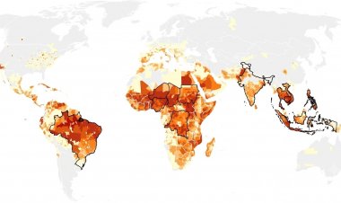 More than 451,000 Heat Deaths Projected from Super El Niño; India Fourth Among Countries Worst Hit