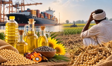 Cheap Edible Oil Imports: A Setback for Farmers Ahead of Kharif Harvest and Rabi Sowing