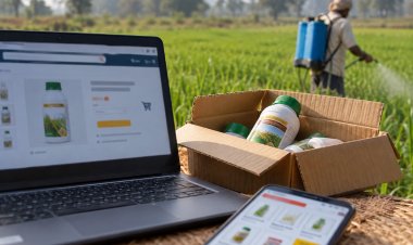 CCPA Fines Amazon, Flipkart and JioMart Over Sale and Advertising of Unregistered ‘Cyclosinone’ Herbicide