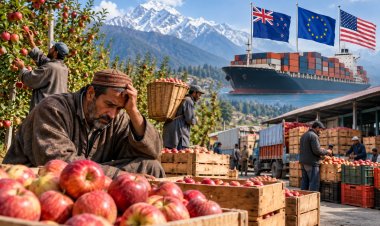 Apple Growers Face Price Crash as AIKS Seeks Market Intervention Before India-New Zealand FTA