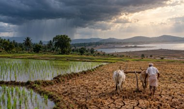 India’s 2026 Monsoon Ends With 13% Rainfall Deficit, Weakest in Over a Decade