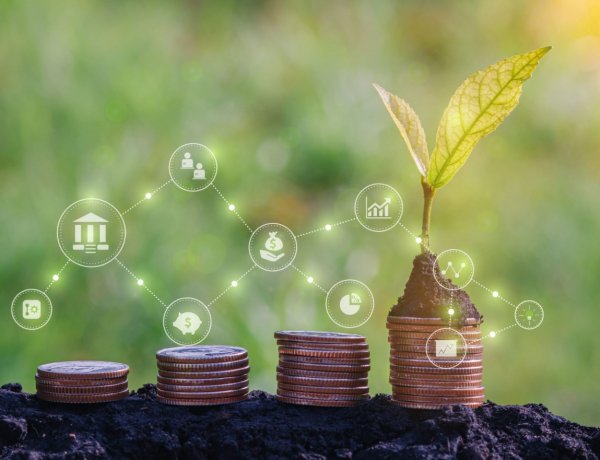 The Growing Role of Non-Bank Credit in India's Agrifood Economy