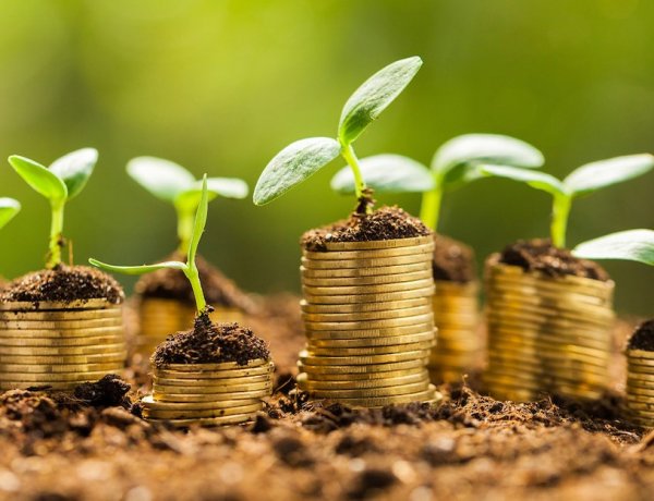 FinTech: The New Ecosystem of Rural Finance