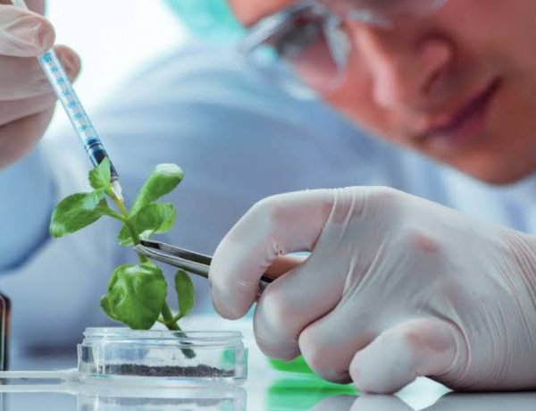 BIO-NIVESH Launched to Connect Biotech Innovation with Investment, Support India’s $300 Billion Bioeconomy Goal