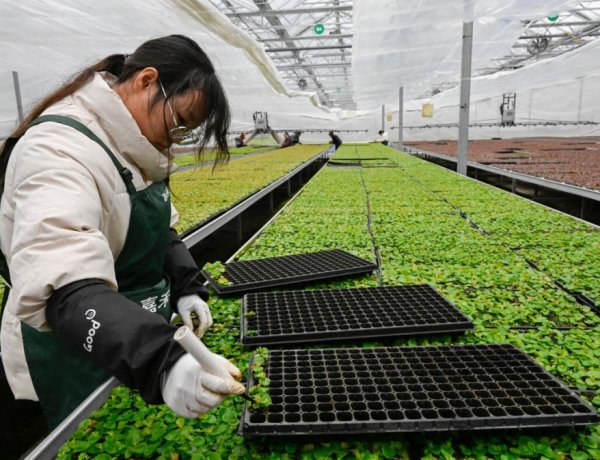 China Unveils 2030 Financing Push to Strengthen Food Security and Modernise Rural Economy