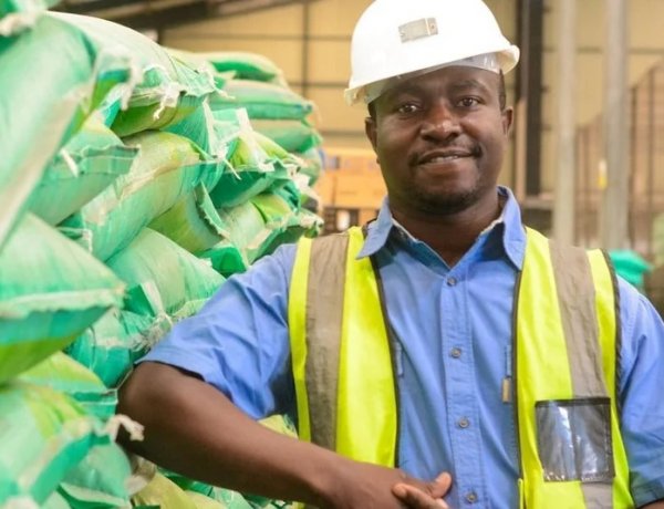 African Development Bank launches $5.1 billion plan to tackle energy and fertiliser crisis in Africa