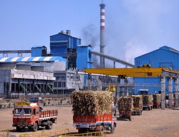 Maharashtra Cabinet Clears Rs 750 Crore Soft Loans for Cooperative Sugar Mills