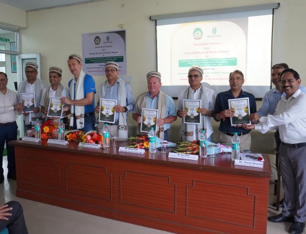 Himachal Agri University Study Finds Direct-Seeded Rice Cuts Emissions, Saves Water and Shows Carbon Credit Potential