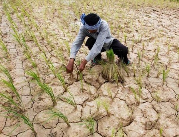15 Percent Monsoon Deficit Pushes Over Half of India into Drought, Raising Kharif Crop Concerns