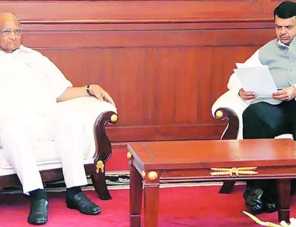 Maharashtra Farmers Need Immediate Drought Declaration, Rs 50,000/ha Aid: Sharad Pawar