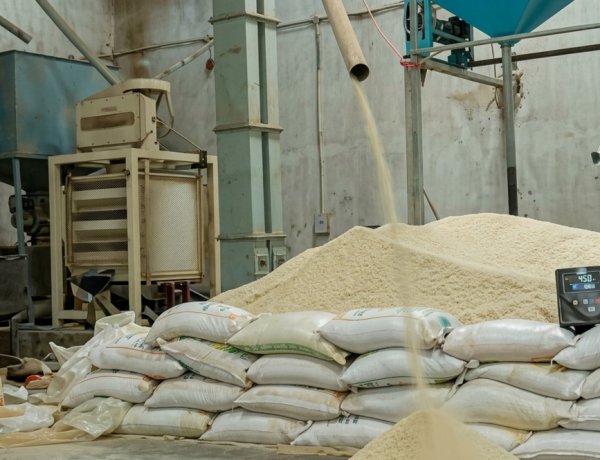 Paddy Procurement Begins in a Week, but Haryana Rice Millers Hold Back CMR Registration