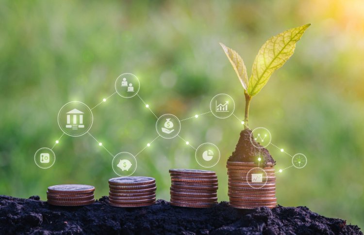 The Growing Role of Non-Bank Credit in India's Agrifood Economy