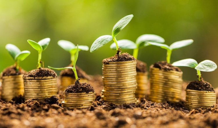 FinTech: The New Ecosystem of Rural Finance